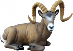 SRT liegendes Rocky Mountain sheep